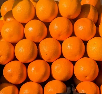 تصویر 4 از خرید و قیمت کنسانتره پرتقال شمال + فروش صادراتی